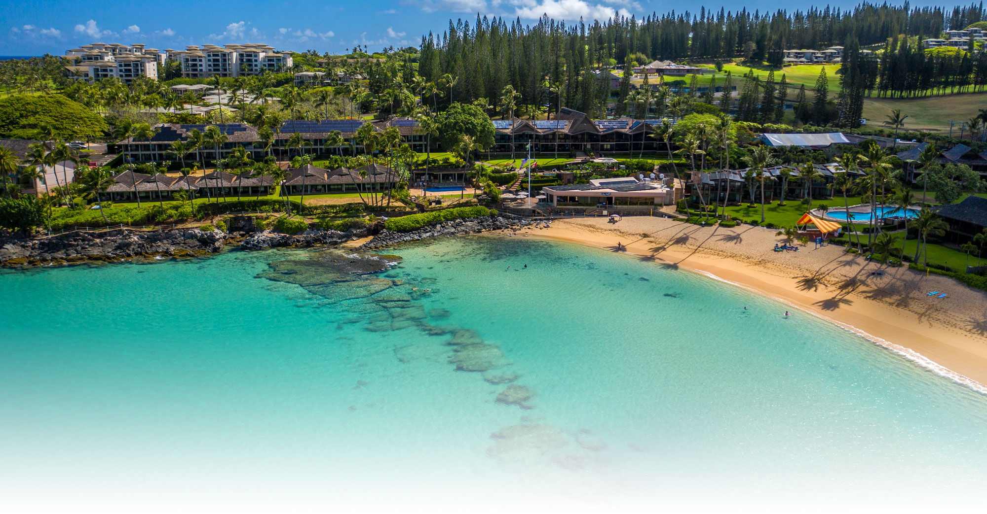 Napili Kai Beach Resort