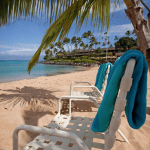 Sittings on Beach Side at NKBR