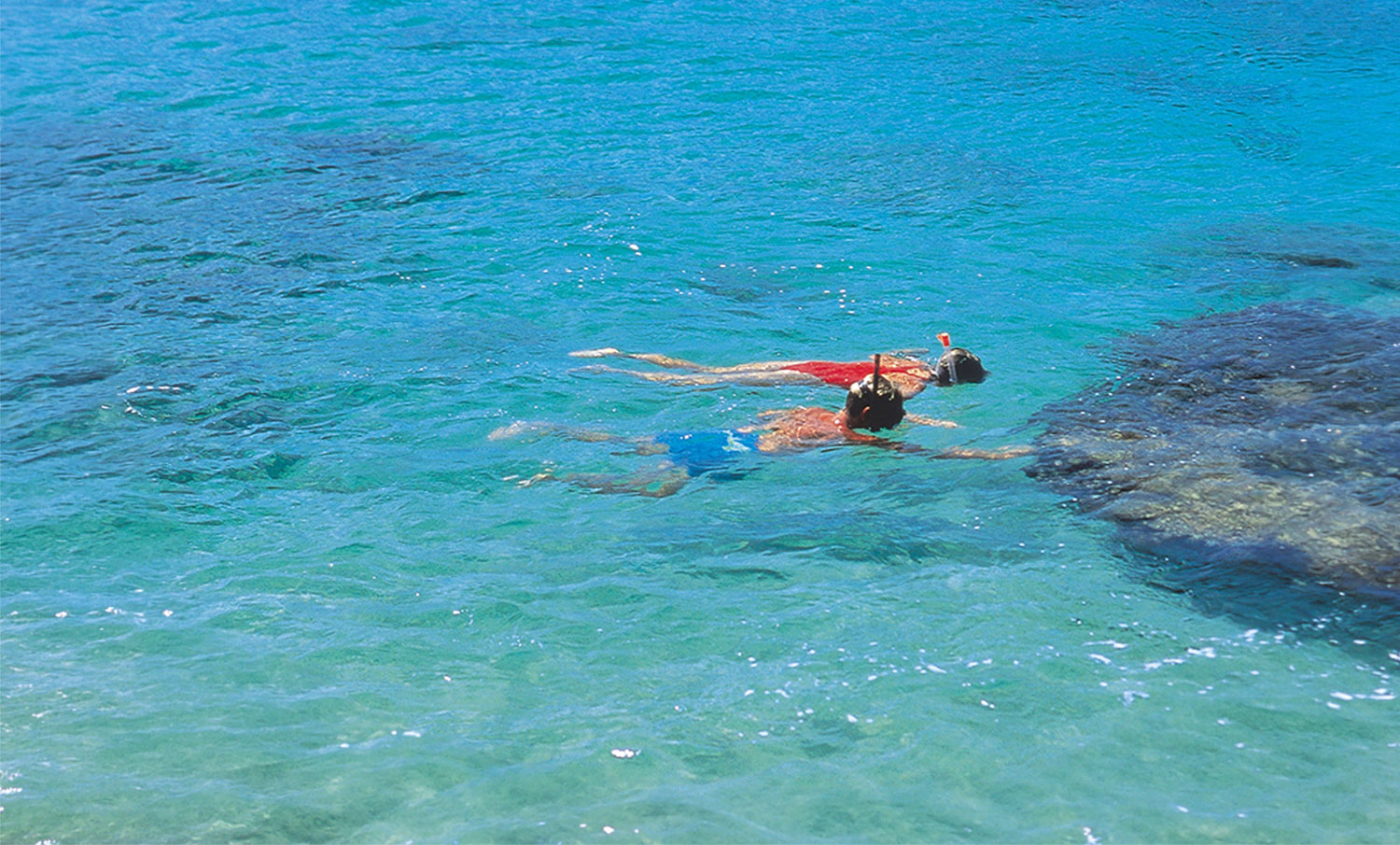 Person snorkeling in the clear blue water of Napili Bay